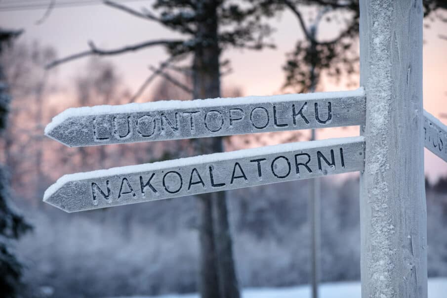 Puisia tienviittoja talvisessa lumisesssa metsässä. Viitat ohjaavat luontopolulle ja näköalatorniin.