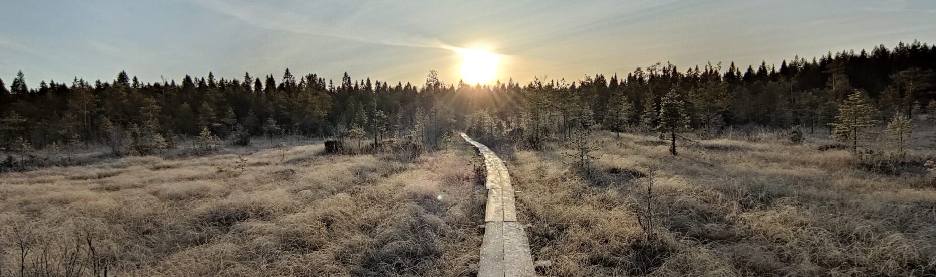 Huurteista suomaisemaa, keskellä pitkospuut kohti matalalta paistavaa aurinkoa.