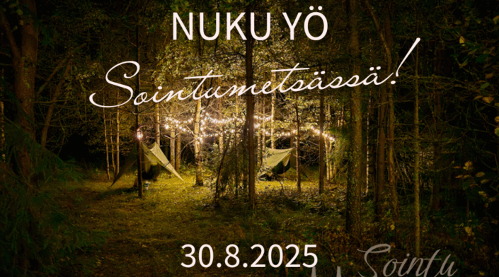 Sointumetsa yö