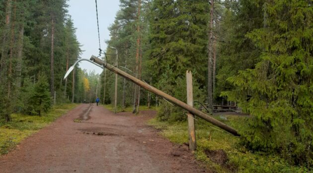 katkennus pylväs kalli