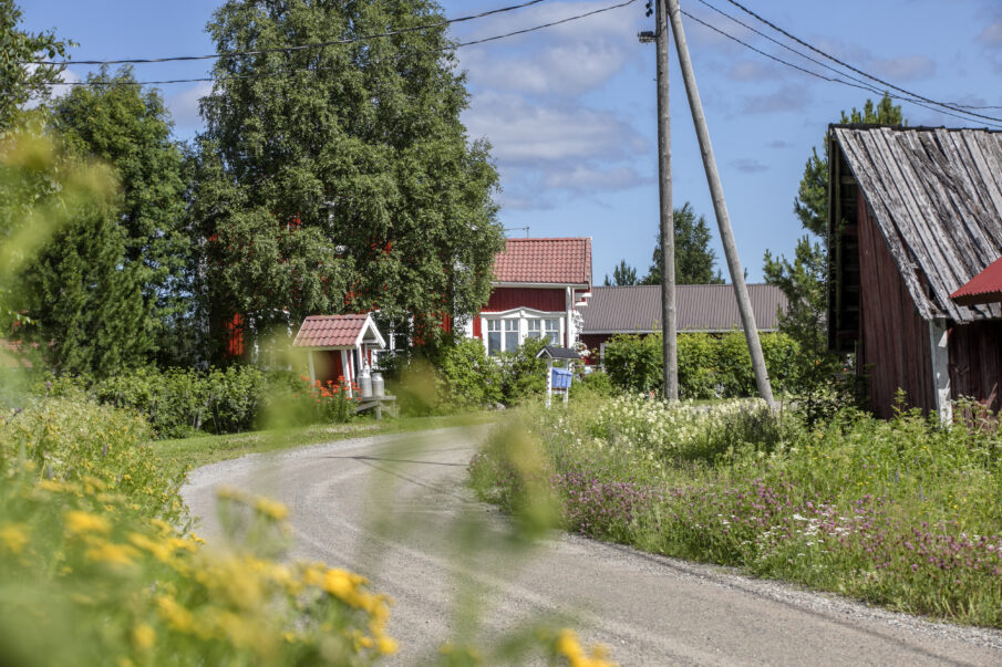 Kesäkuvia Keminmaasta. 
Koroiskyläntien varrelta. Koroiskylä