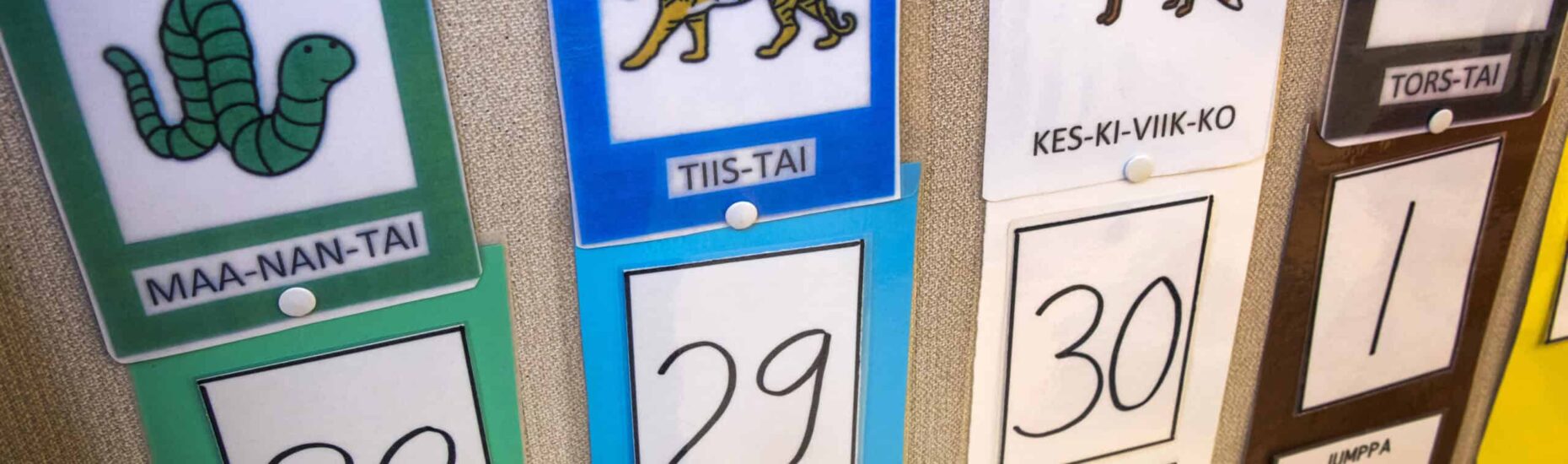 Esikouluun liittyviä opetuskortteja ilmoitustaululla. Korteissa muun muassa numeroita, kuvia eläimistä.