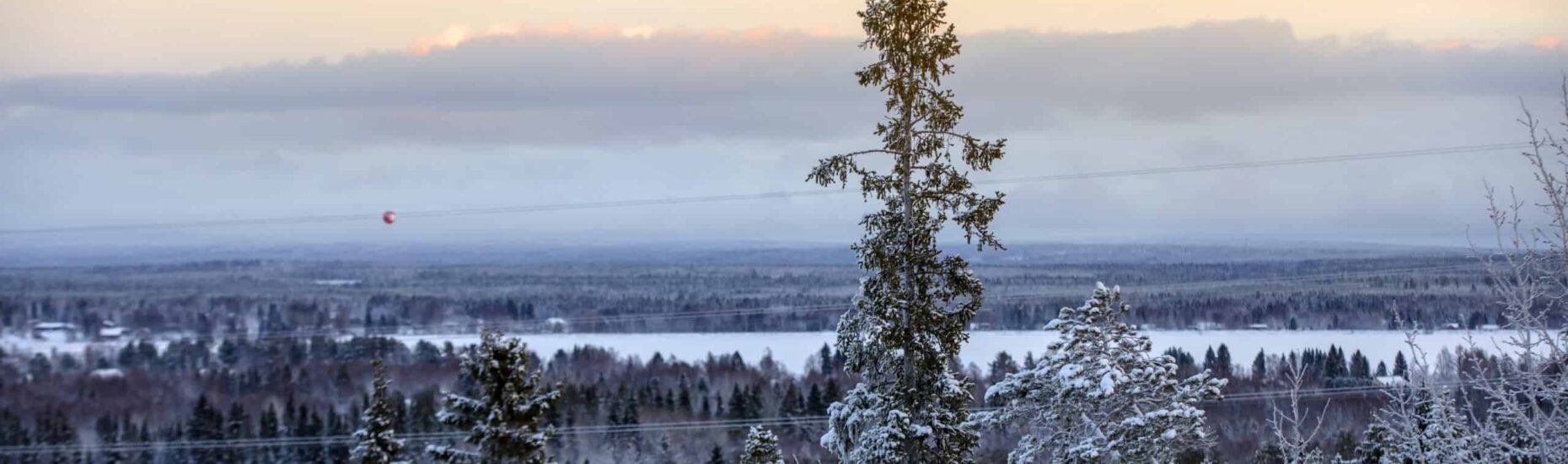 Talvista lumista metsämaisemaa. Kuvattu korkealta mäeltä.